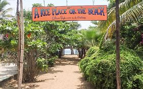 A Nice Place On The Beach